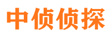 双城市婚外情调查